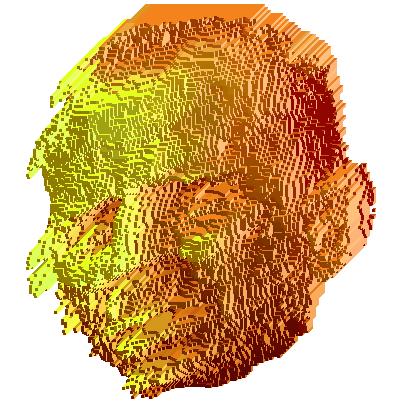 Image Bruce_facecolour1