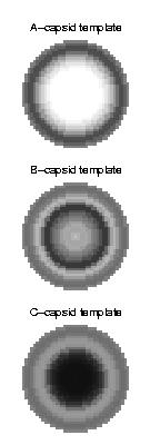templates