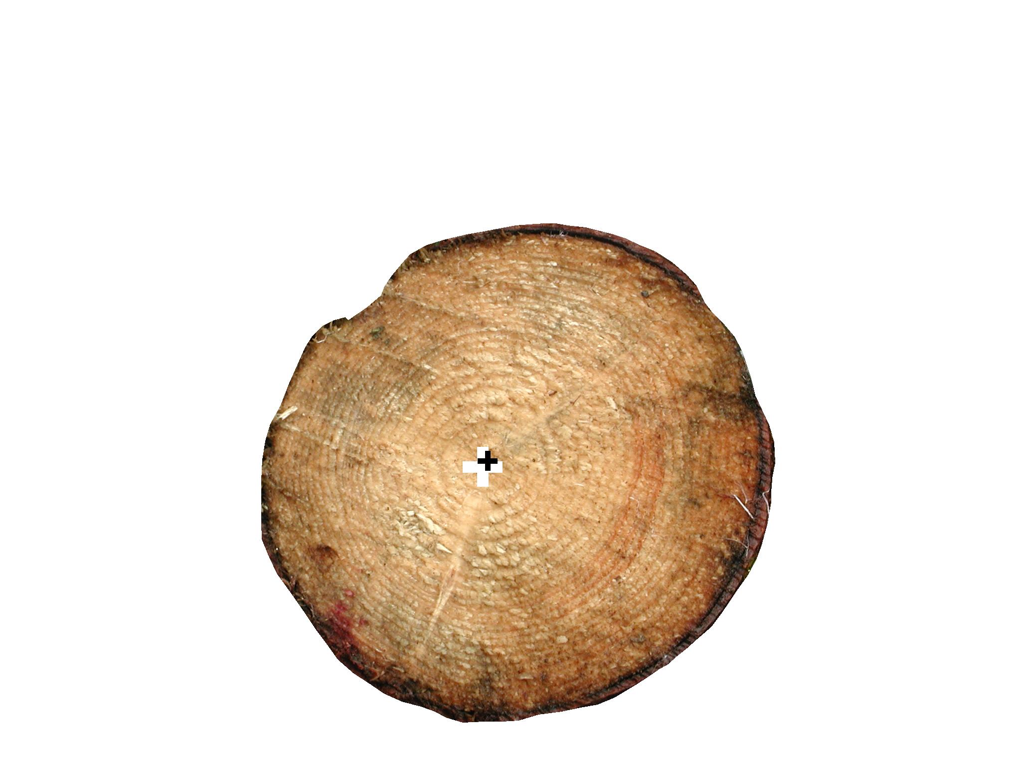 Image ultuna11