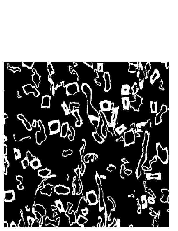 Image binary