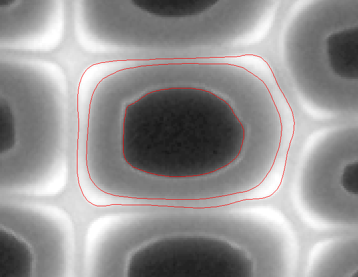 Image oneCell_result2