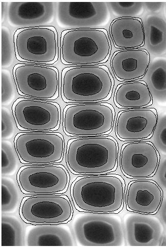 Image Segmentation2009