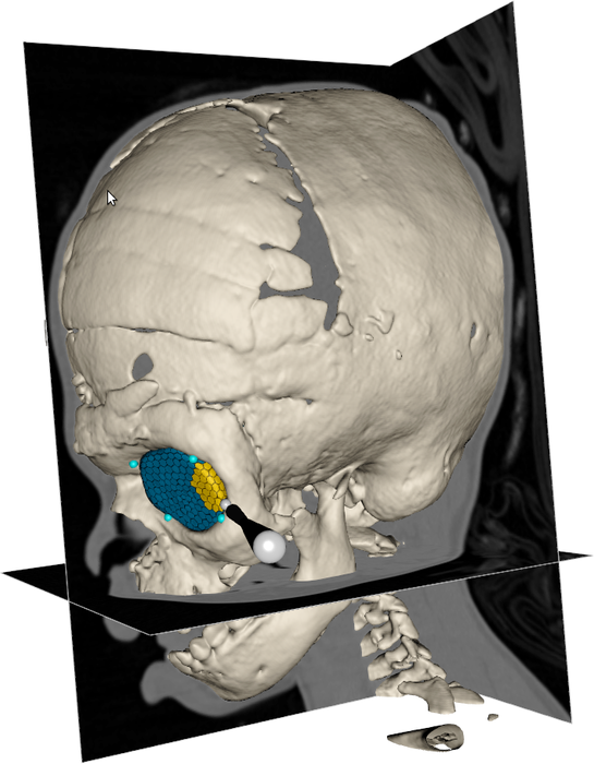 Image orbit_project_figure1