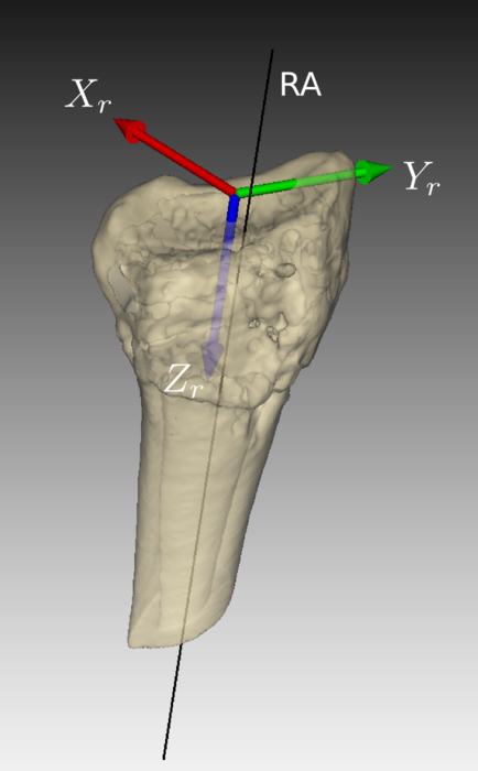 Image wrist_project_figure1b
