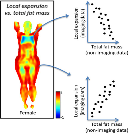 Image Imiomics_example