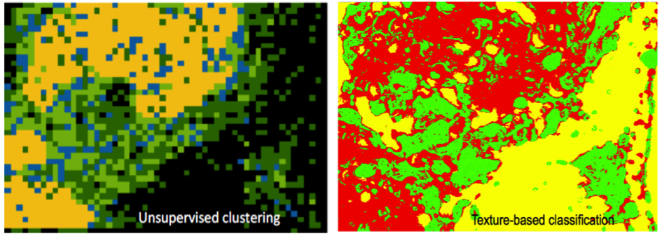 Image insitumrna