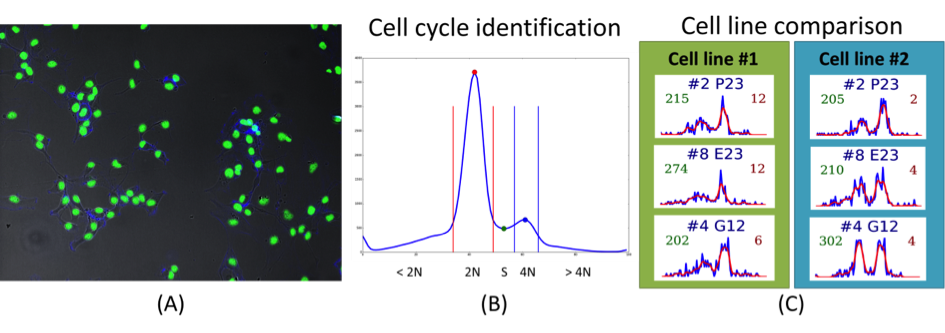 Image stemcell