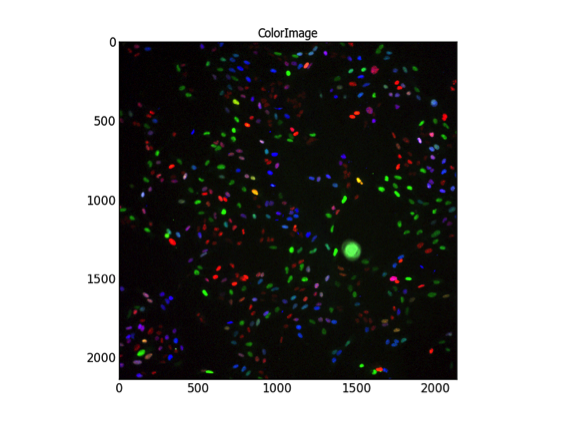 Image carolina_ubiquitin