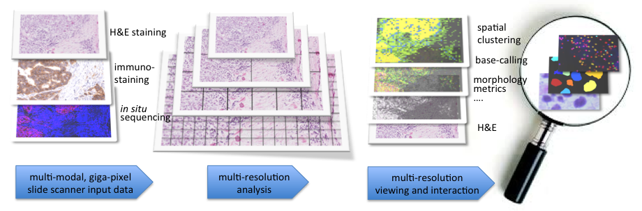 Image tissuemap