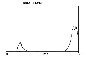 Histogram över cirklarna