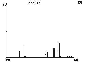 histogram över storlek